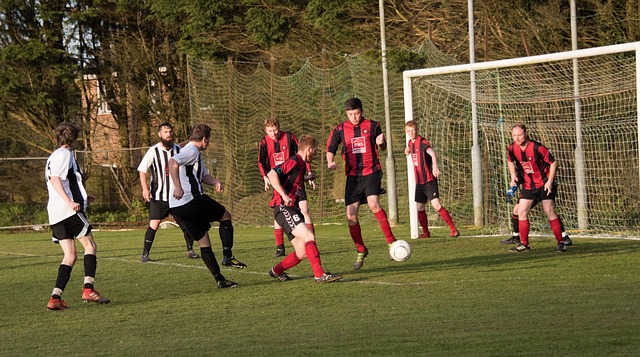 特朗普的自 特朗普的自