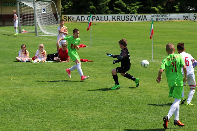 持高位压迫 持高位压迫