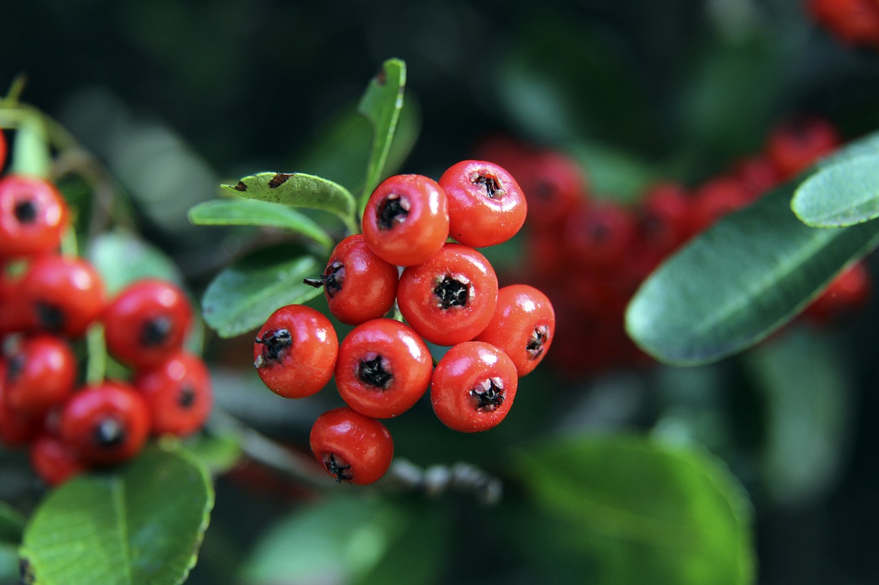 个球队兜转 个球队兜转