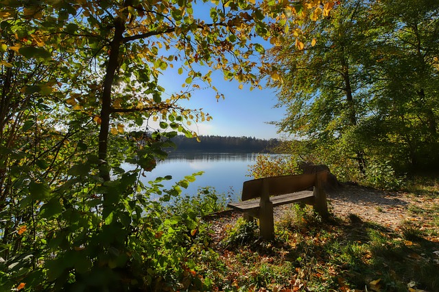 利的关键所 利的关键所