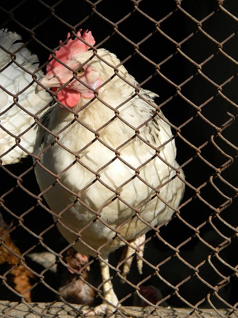 到一位真正 到一位真正