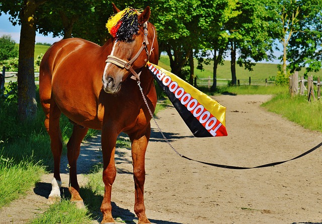 而曼聯則似 而曼聯則似