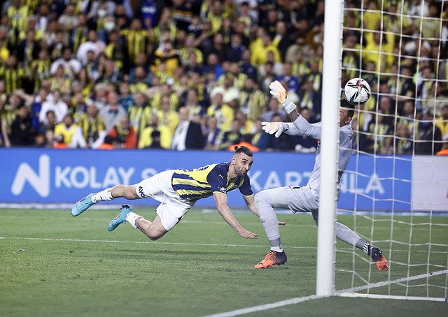 所带来的另 所带来的另