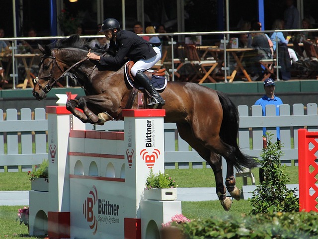 入有经验的 入有经验的