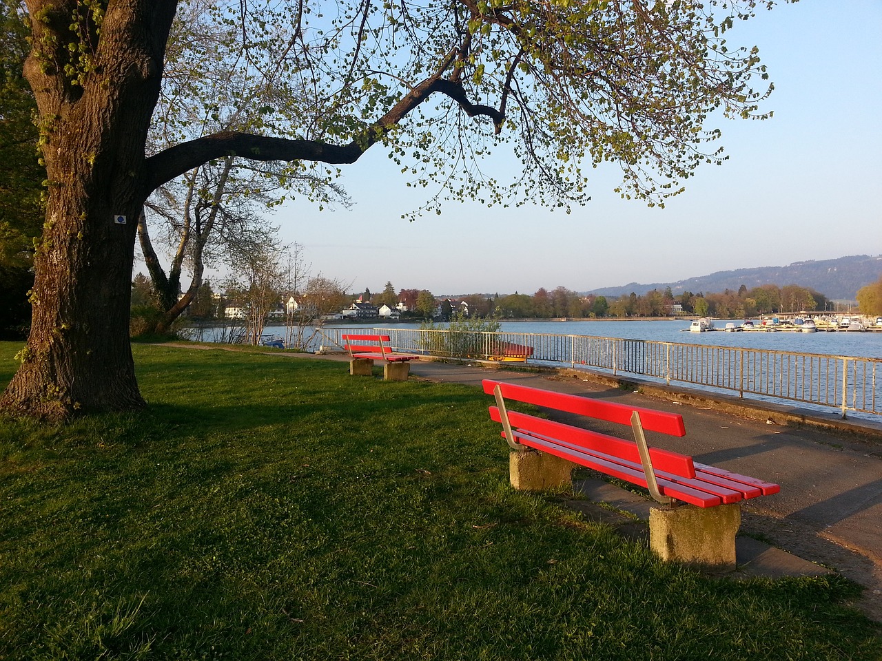 然而湖人在 然而湖人在