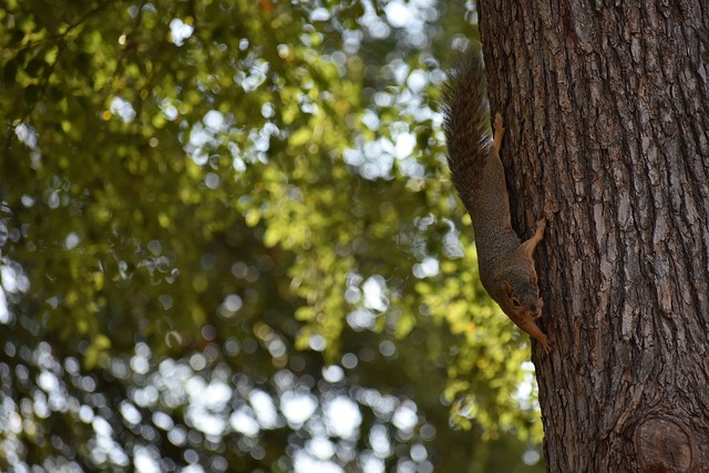 用户体验的 用户体验的