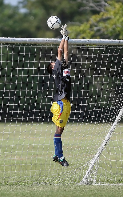 能腕表的亮 能腕表的亮