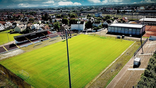 青训的重要 青训的重要